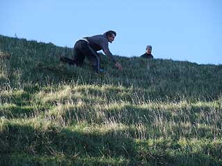 Disc Golf New Zealand